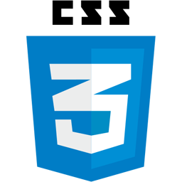 Som Imaging informatics pvt. ltd. | Somnetics it service CSS3